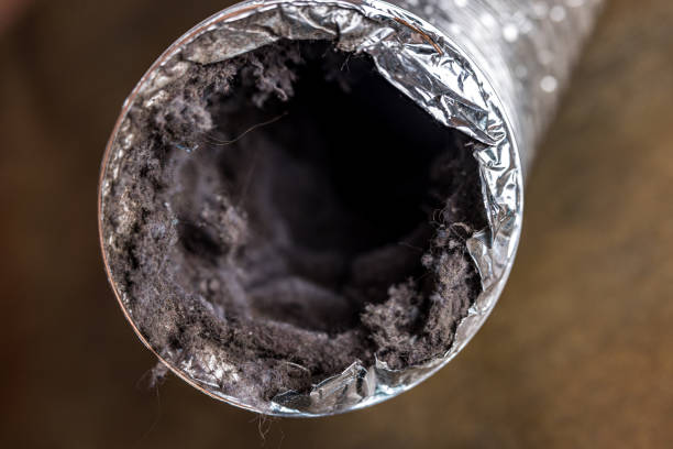 Best Professional Duct Cleaning Services  in Northwood, IA